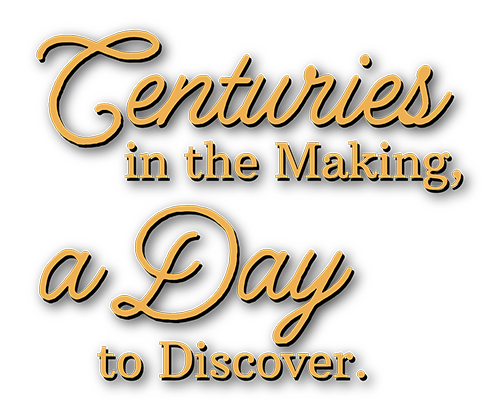 A Day to Discover
